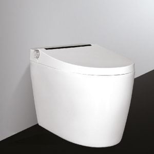 Bồn cầu thông minh Letton LT6-316