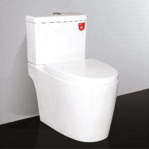 Bồn cầu 2 khối Letton LR6-306