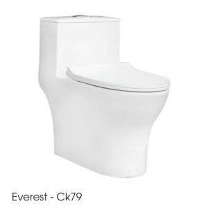 Bàn cầu 1 khối Thiên Thanh EVEREST - CK79